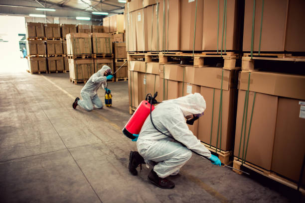 Best Exterminator Services  in Ohkay Owingeh, NM