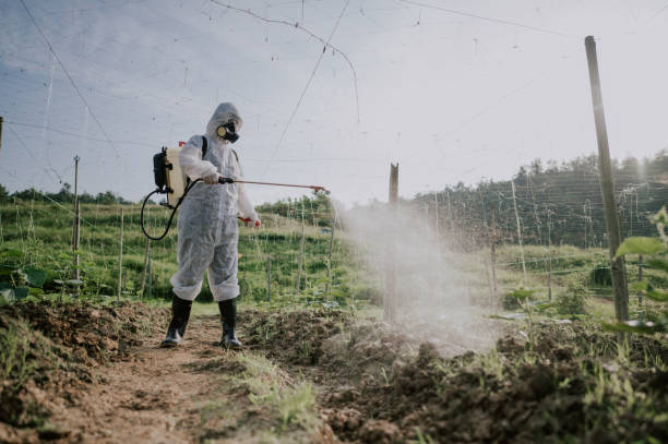 Best Ant Control Services  in Ohkay Owingeh, NM